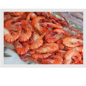 Crevettes cuites Surchoix Origine Equateur 20/30