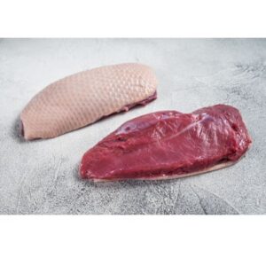 Magret de canard