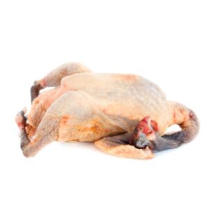 Pintade